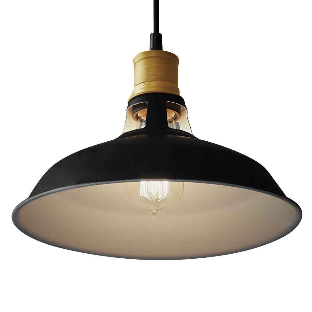 Pendantlightie-Modern Black Single Dome Light-Pendants--