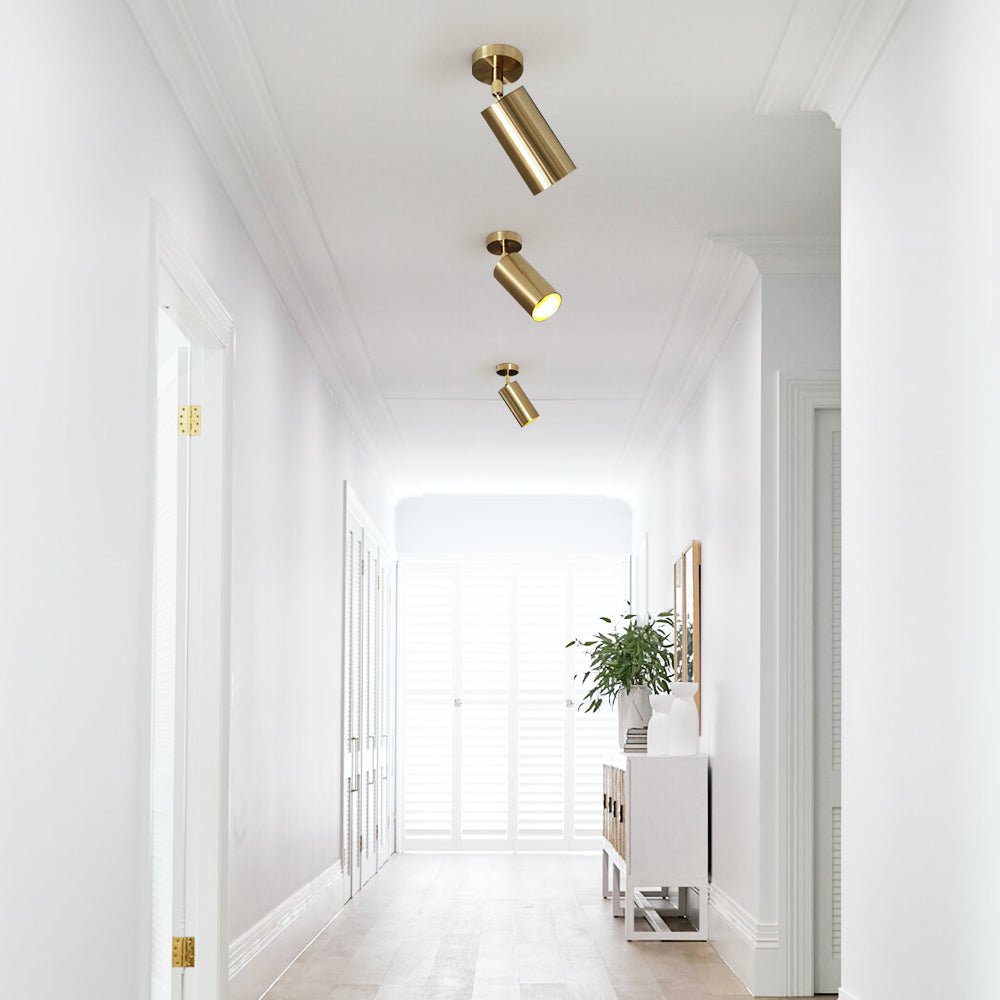 Pendantlightie-1-Light Track Adjustable Spot Light-Semi Flush Mount--