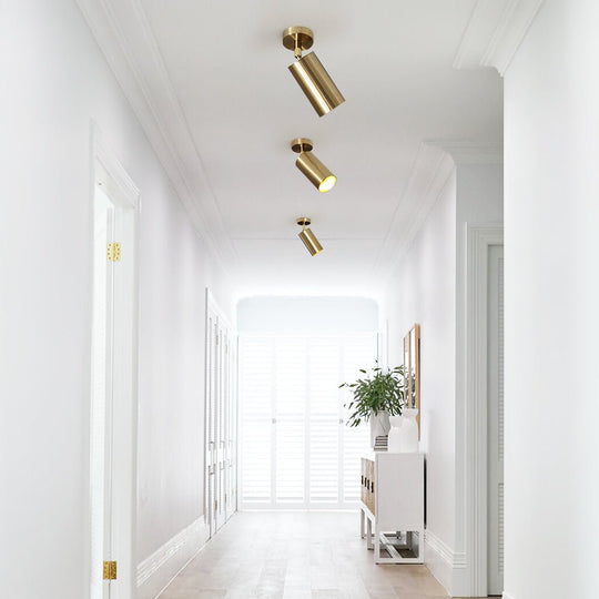 Pendantlightie-1-Light Track Adjustable Spot Light-Semi Flush Mount--