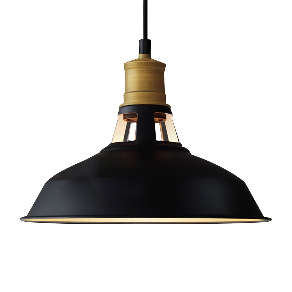 Pendantlightie-Modern Black Single Dome Light-Pendants--
