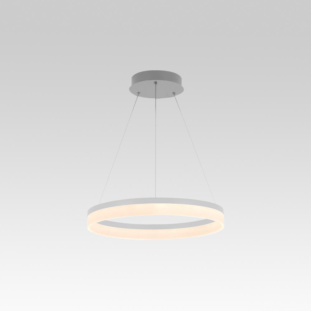 PendantLightie-Modern Minimalist Led Circle Light-Pendants-24 Inches-Warm White