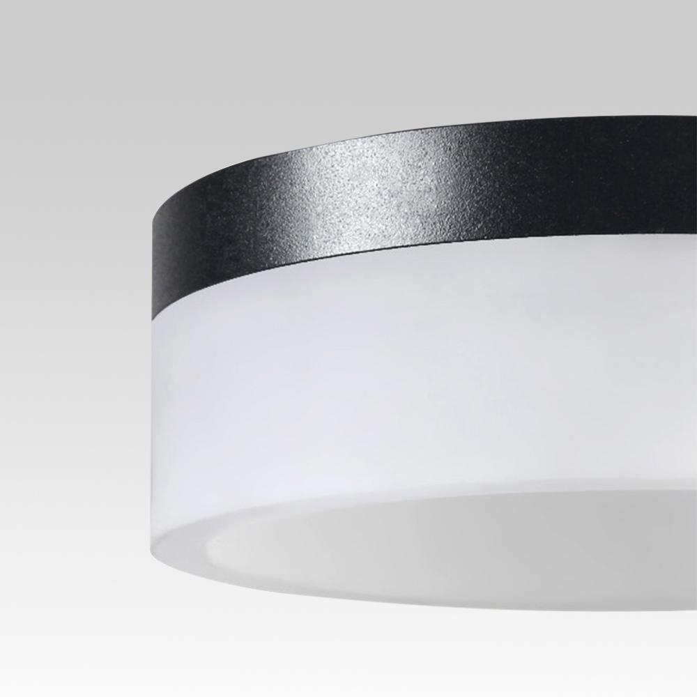 PendantLightie-Modern Minimalist Led Circle Light-Pendants-24 Inches-Warm White