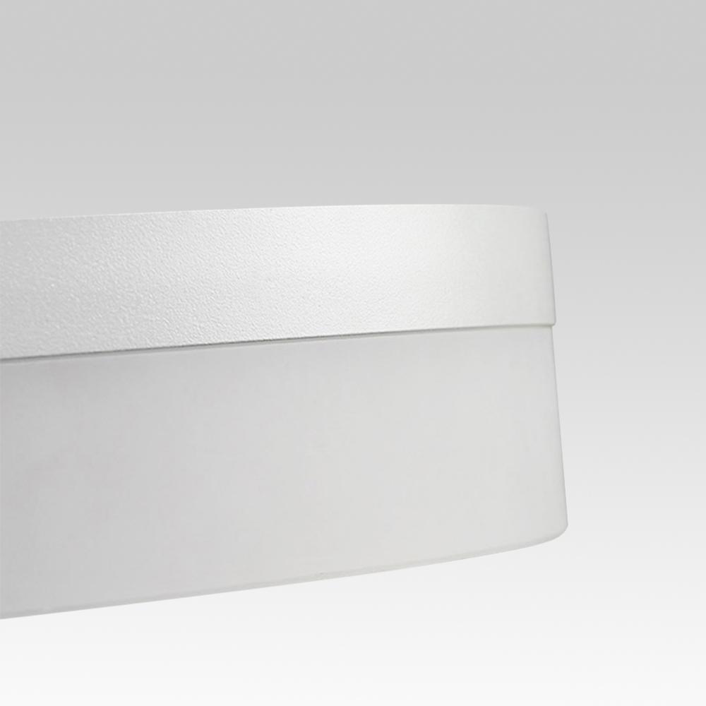 PendantLightie-Modern Minimalist Led Circle Light-Pendants-24 Inches-Warm White